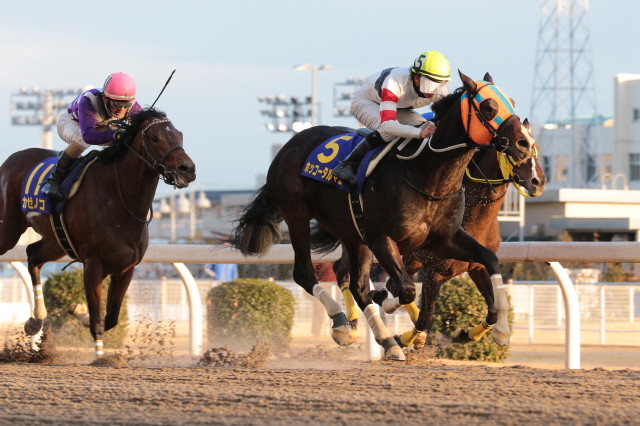 �z�b�R�[�^���}�G