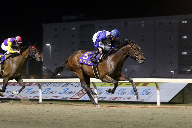 �E�C���o���[���X