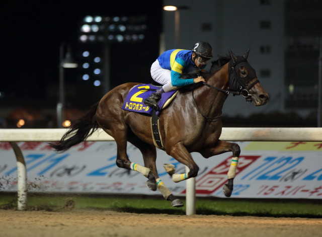 �g�����{�k�[��