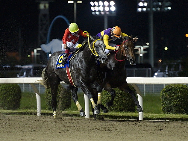 �u���[�`�b�p�[