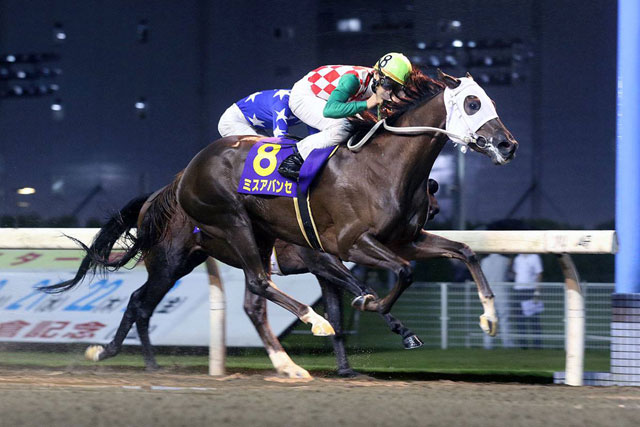 �~�X�A�o���Z