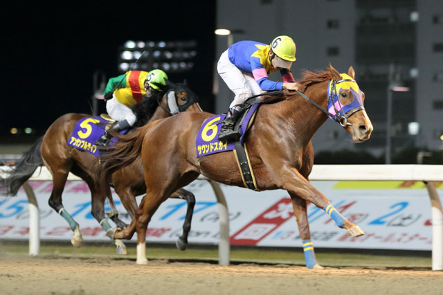 �T�E���h�X�J�C