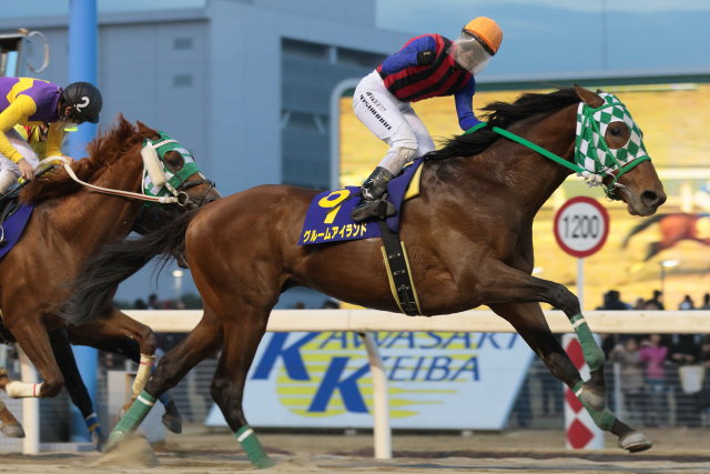 2016��m�I�[���X�^�[�J�b�v