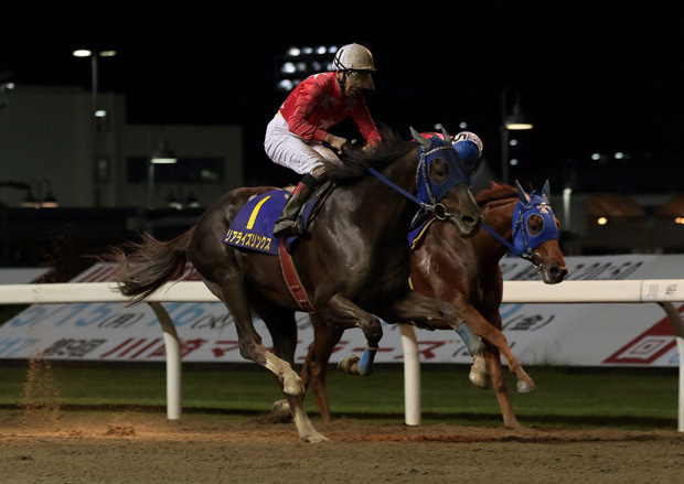 ���A���C�Y�����N�X