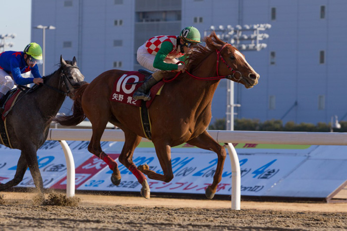 ����S�[��